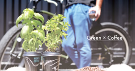 堆肥 コーヒー かす コーヒーの残りかすを堆肥に再利用する正しい方法（2021年7月8日）｜BIGLOBEニュース