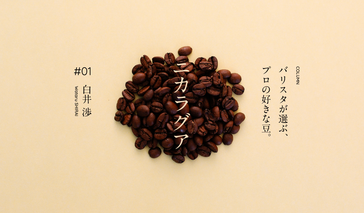 バリスタが選ぶ プロの好きな豆 白井渉 Suzuki Coffee