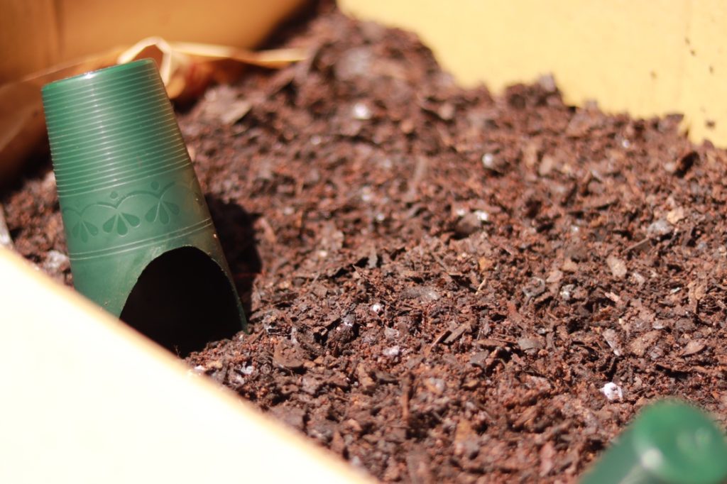 堆肥 コーヒー かす 捨てていたコーヒーかすが肥料に大変身？ 具体的な作り方を伝授します。