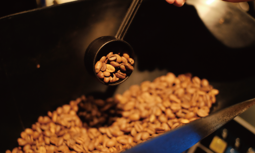 [ Green × Coffee…& cooking vol.3 ]コーヒーカスを肥料として育てたバジルで!!