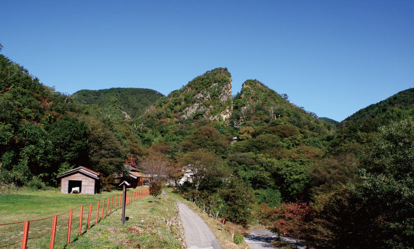 佐渡,金山,コーヒー,世界遺産,珈琲,ドリップバッグ ,オリジナル,パッケージ,デザイン,プレゼント