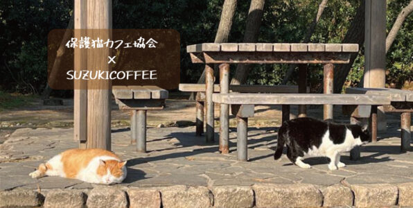 保護猫カフェ,猫,ネコ,ねこ,珈琲,コーヒー