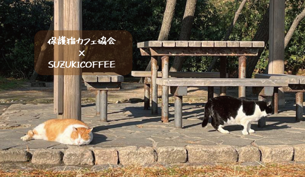 保護猫カフェ協会×SUZUKICOFFEE！！6月の猫の日22日！！販売開始しました！！